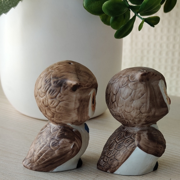 Vintage1960's- 1970's Salt and Pepper Cute Brown Owl Ceramic Shakers - Picture 4 of 10
